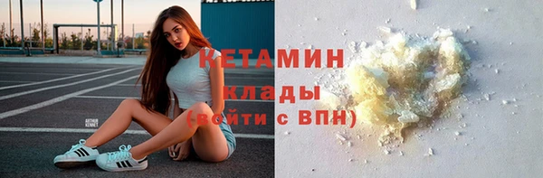 шишки Аркадак