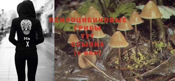 гидропоника Балахна